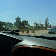 Baja2011 1082 : Baja2011